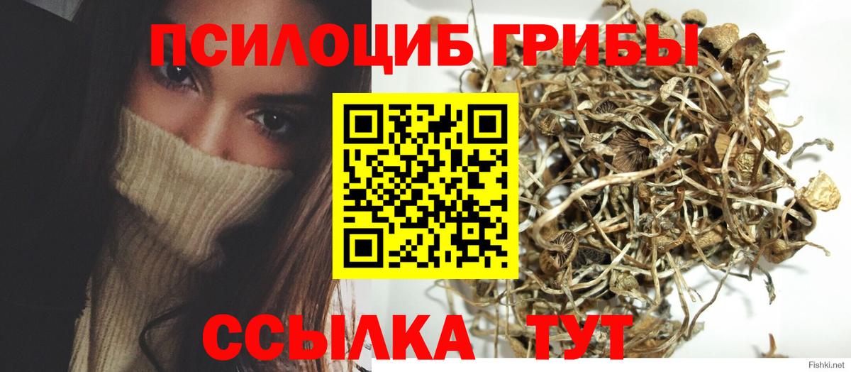 закладка  Галлюциногенные грибы Psilocybe  Вход с VPN  Ливны 