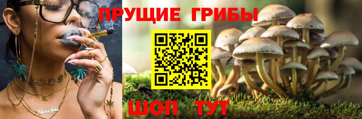 БУТИРАТ Ливны
